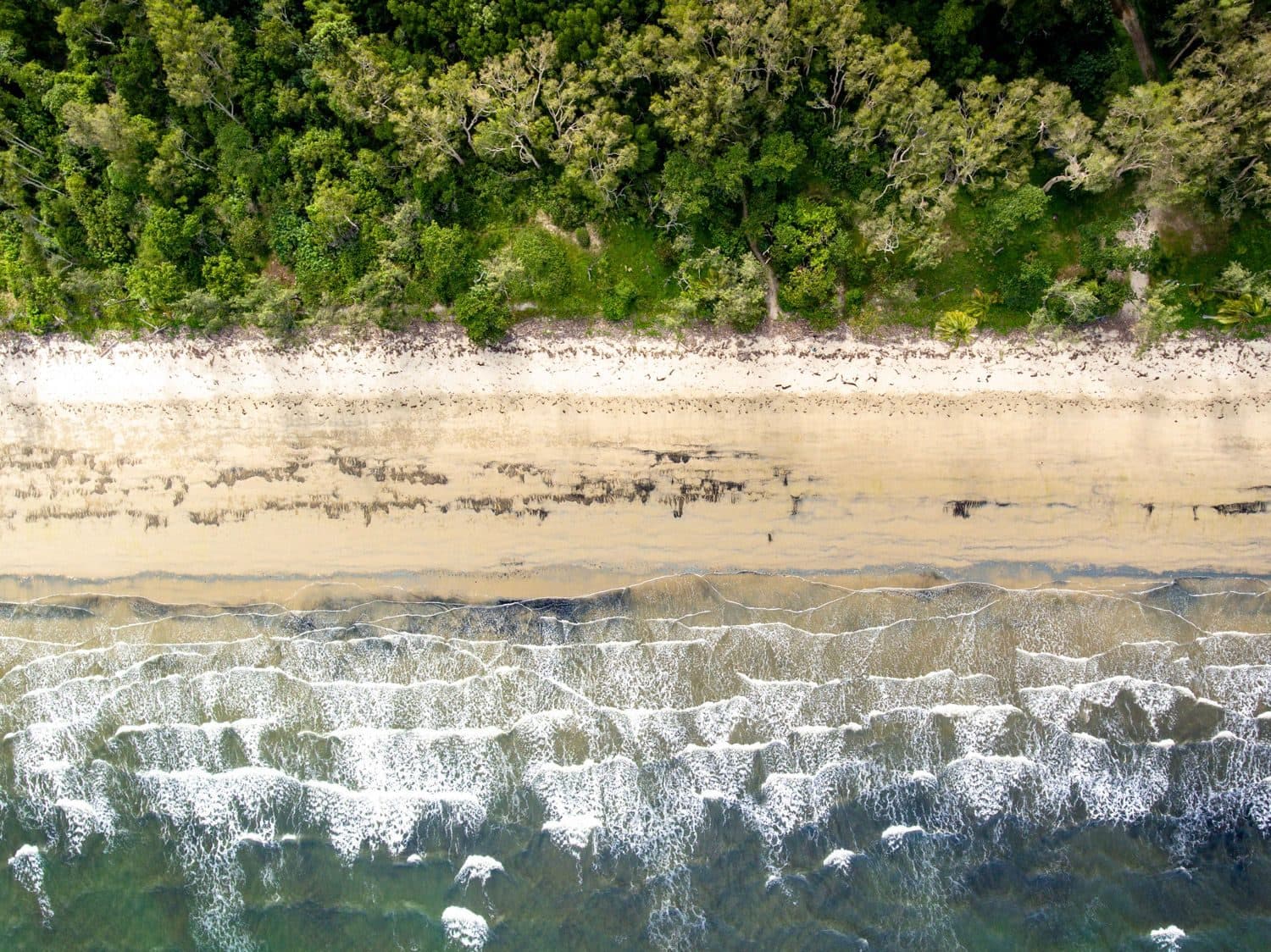 Aerial view of waves washing onto a sandy beach beside dense forest