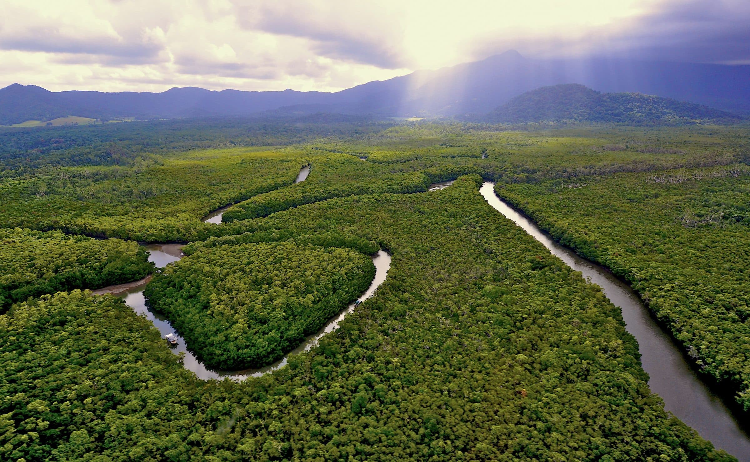 Aerial view of a river winding through Daintree mangrove forest beneath a break in the clouds